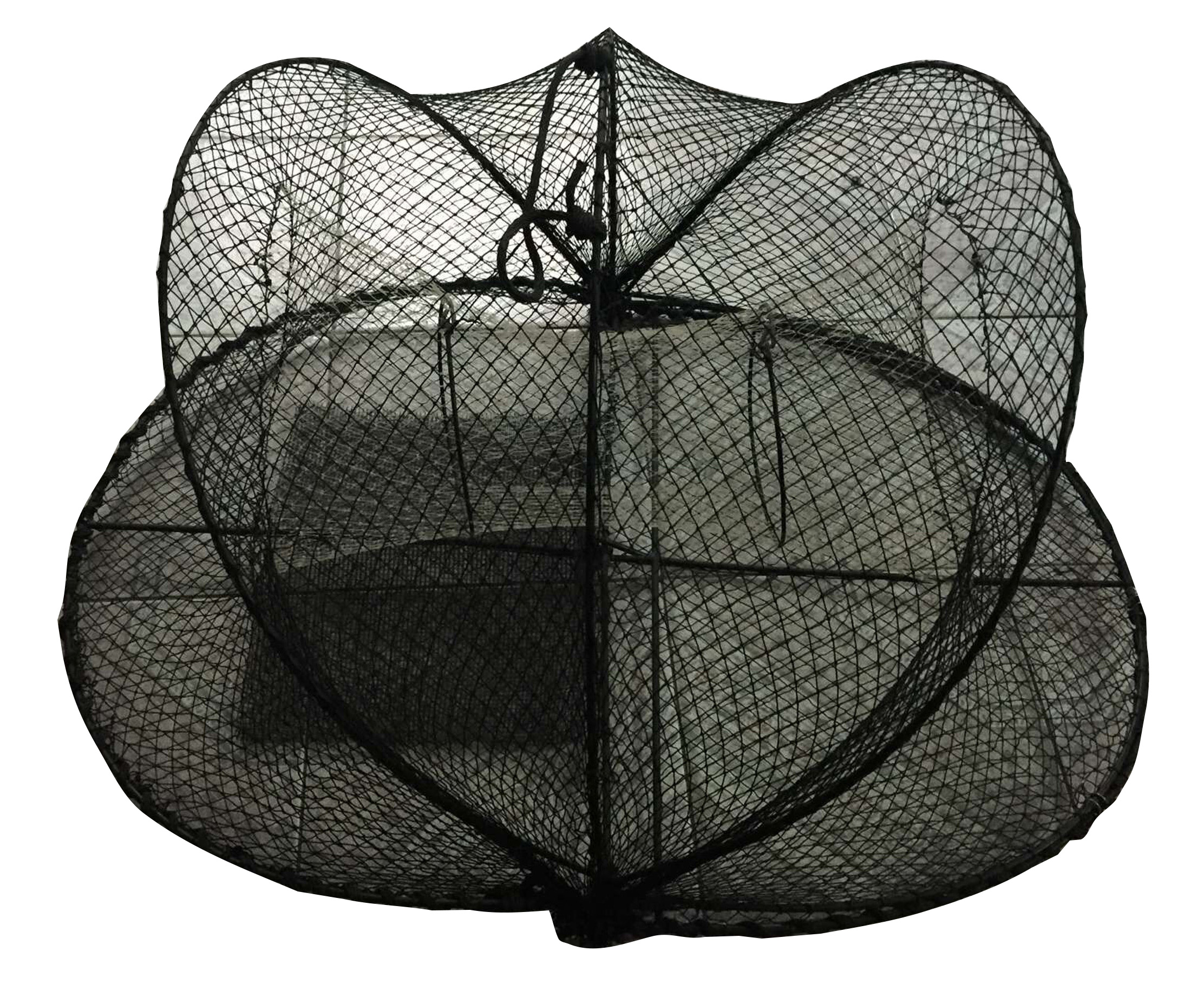 TEINE HALVRUND 6MM RAMME